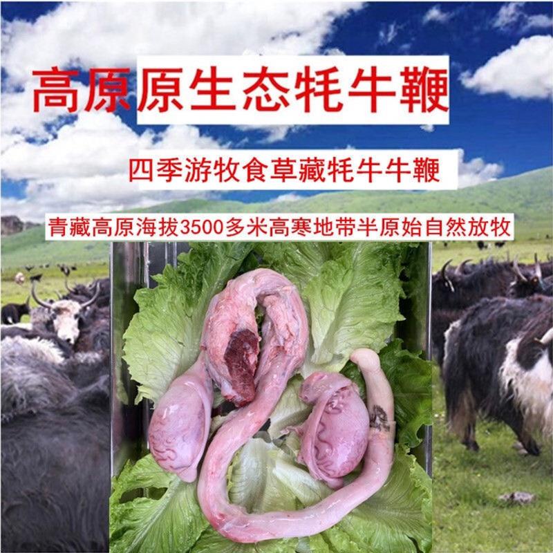 【牛商推荐】青海新鲜牦牛鞭牛宝牛蛋现做现卖（坏了包赔）