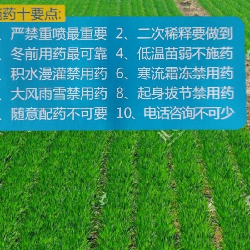 小麦田除阔叶杂草单剂5%双氟磺草胺15克单剂