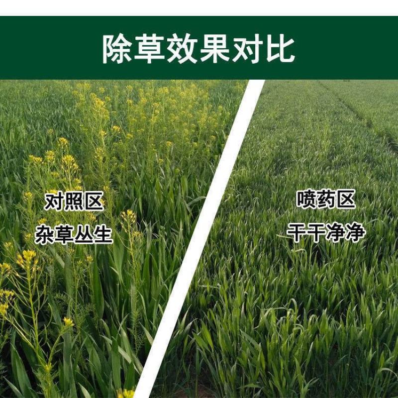 小麦田除阔叶杂草单剂5%双氟磺草胺15克单剂