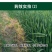 小麦田除阔叶杂草单剂5%双氟磺草胺15克单剂