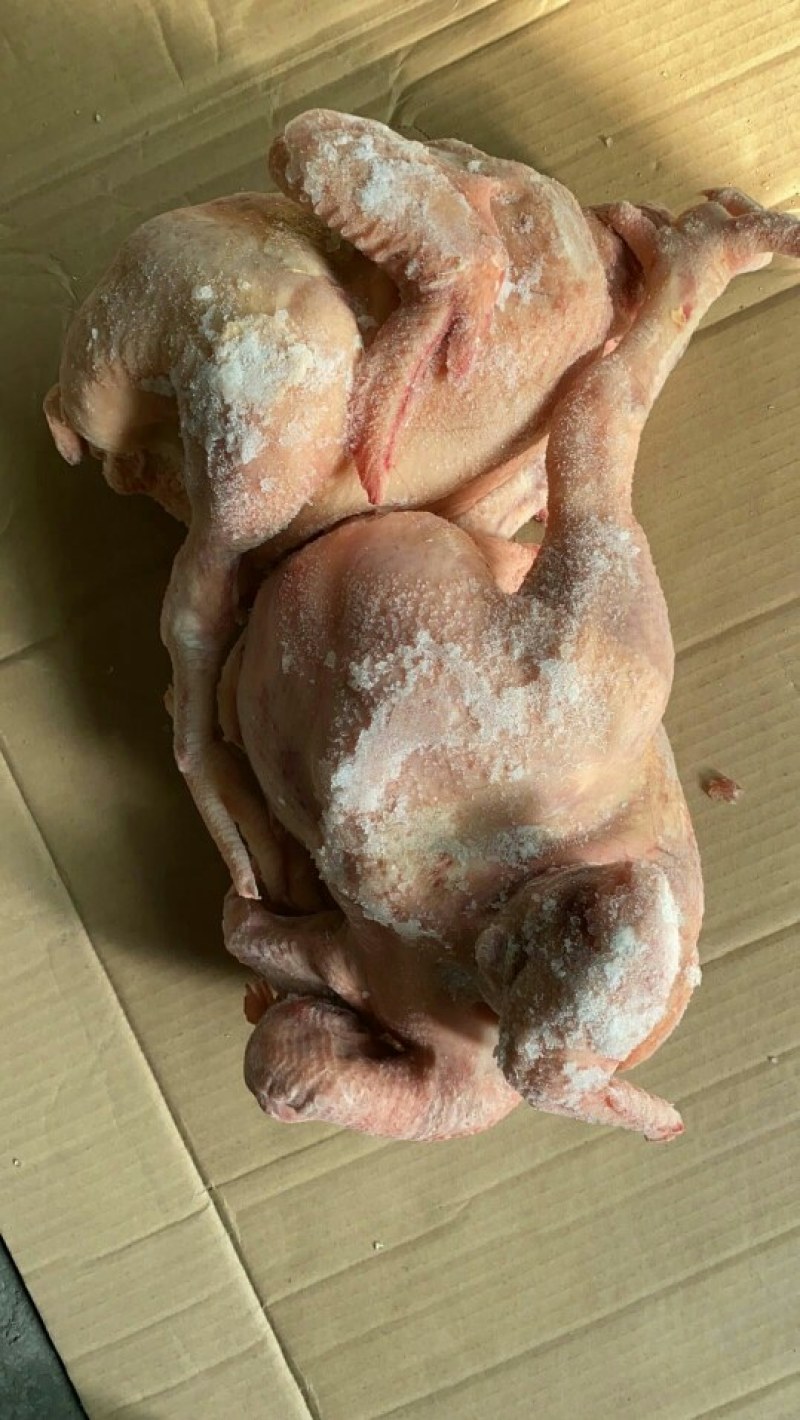 大白条肉食鸡，抛货，不拿真亏常厂家直接发货