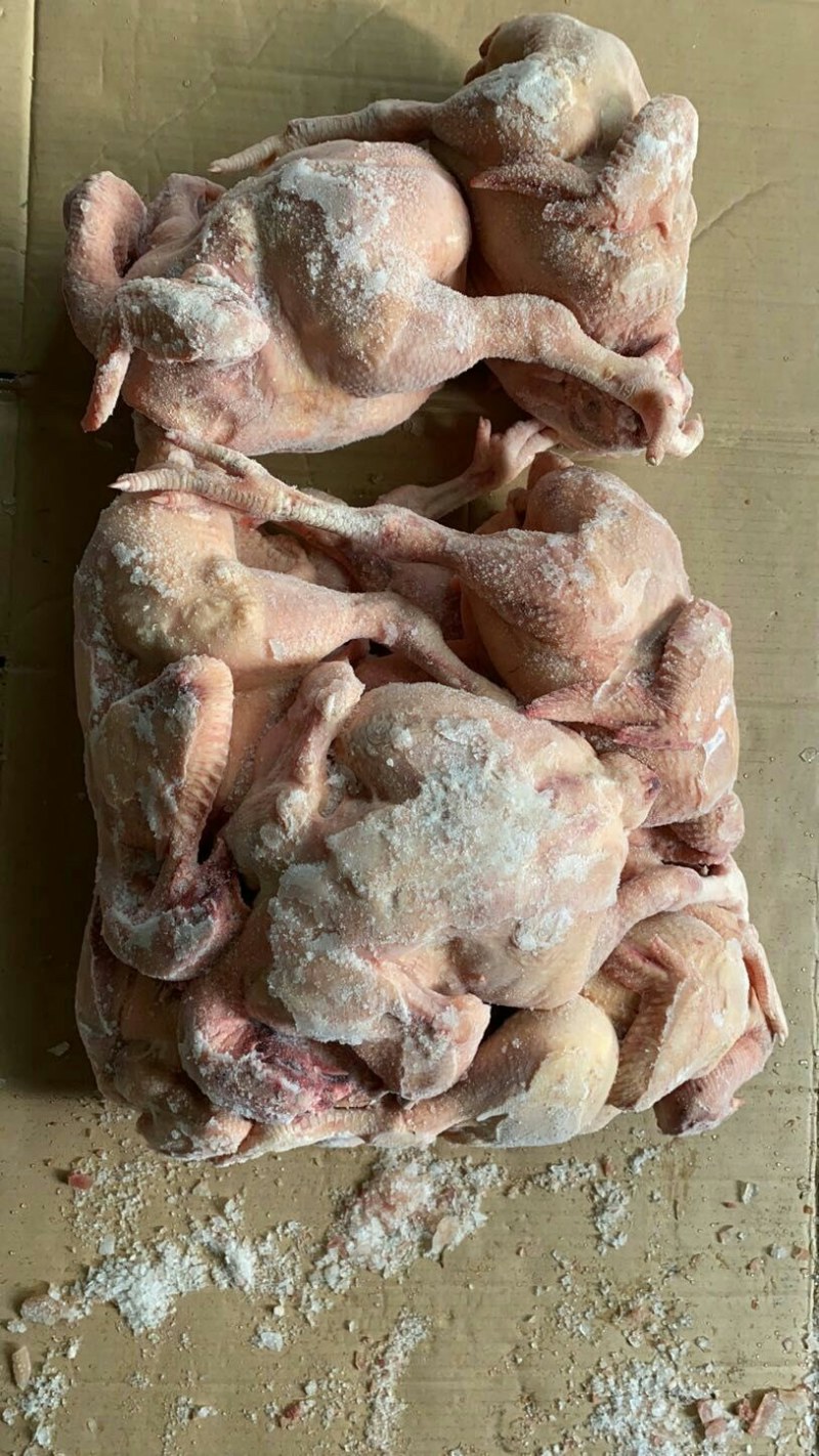 大白条肉食鸡，抛货，不拿真亏常厂家直接发货