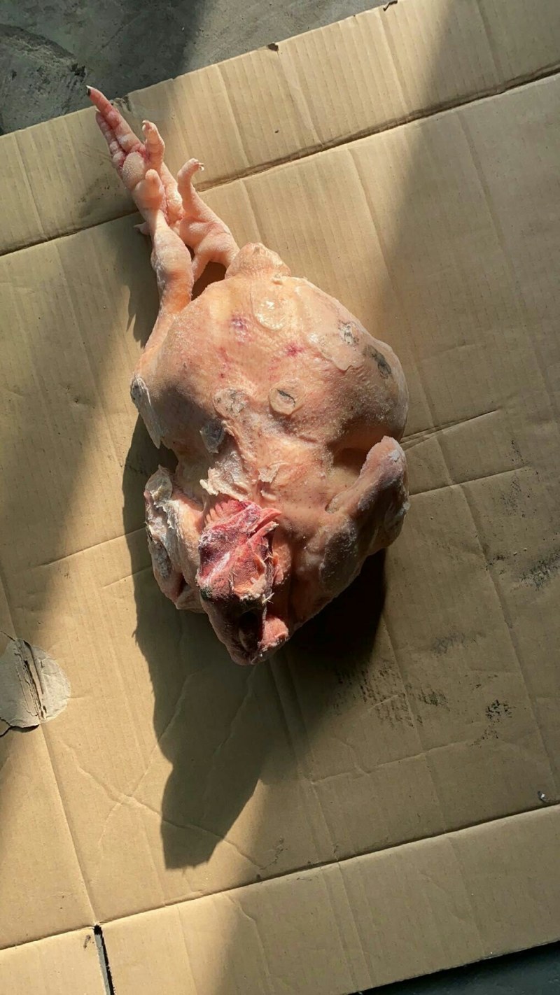 大白条肉食鸡，抛货，不拿真亏常厂家直接发货