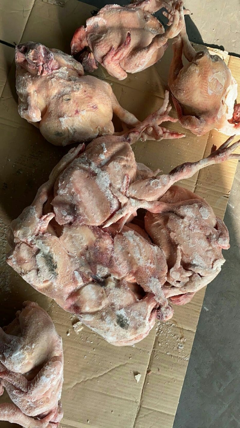 大白条肉食鸡，抛货，不拿真亏常厂家直接发货