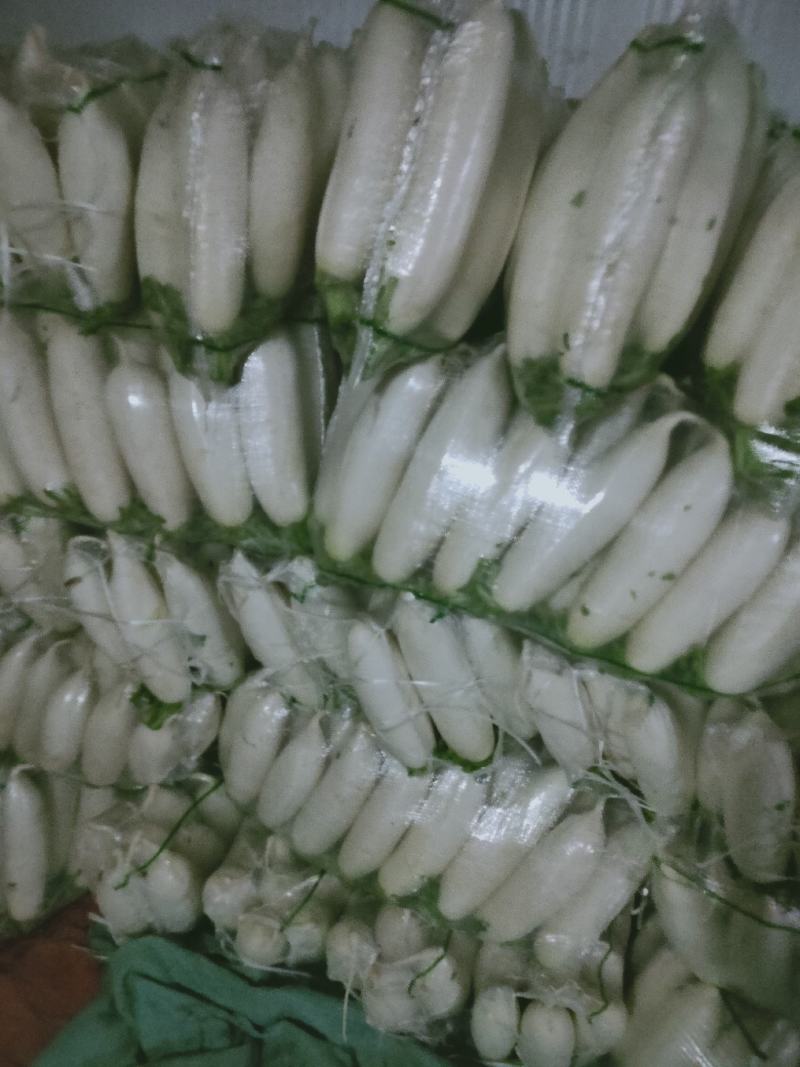 电商用的精品小萝卜，市场货，加工厂大量有货养殖场萝卜，
