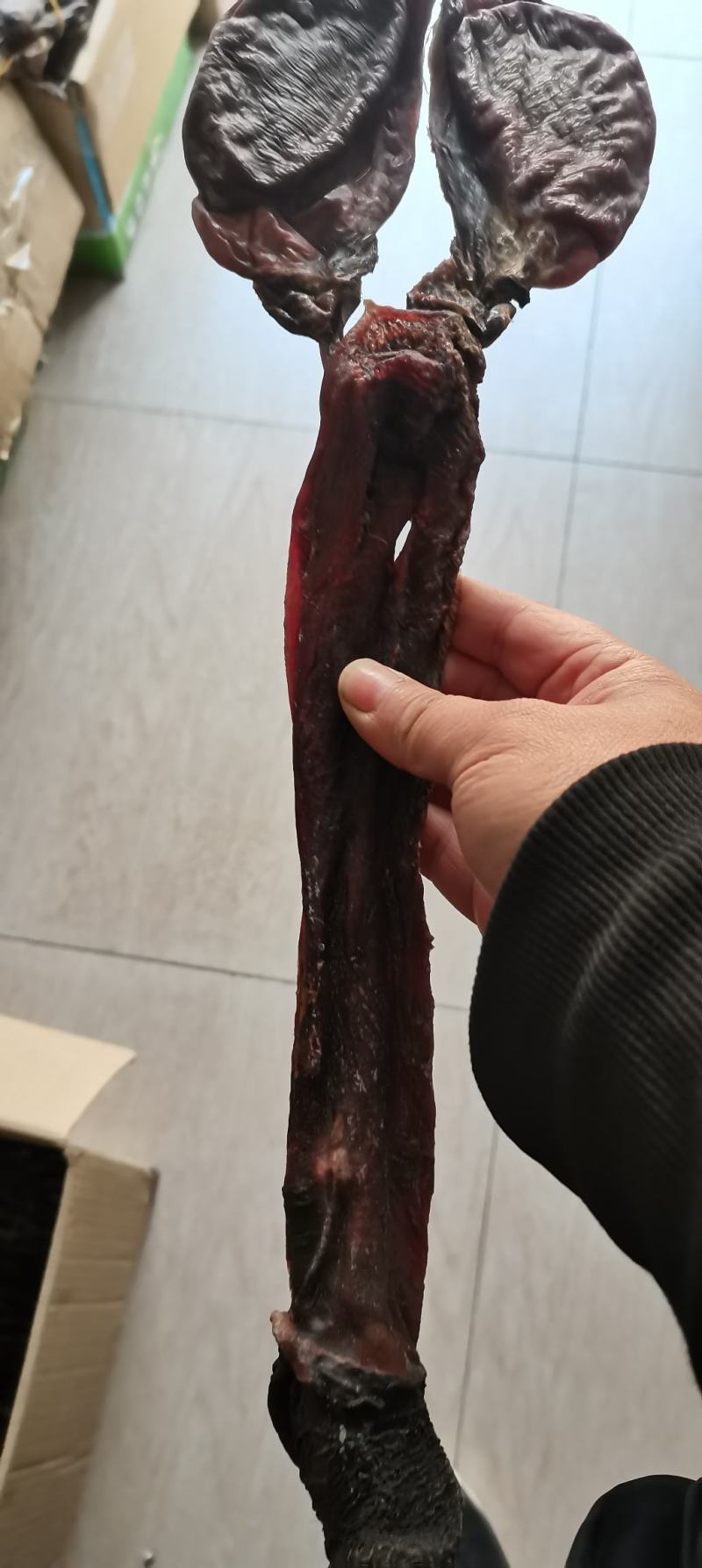 【牛商推荐】驴鞭干驴鞭烘干货驴肾一根起批包邮