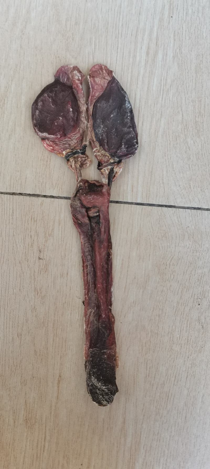 【牛商推荐】驴鞭干驴鞭烘干货驴肾一根起批包邮