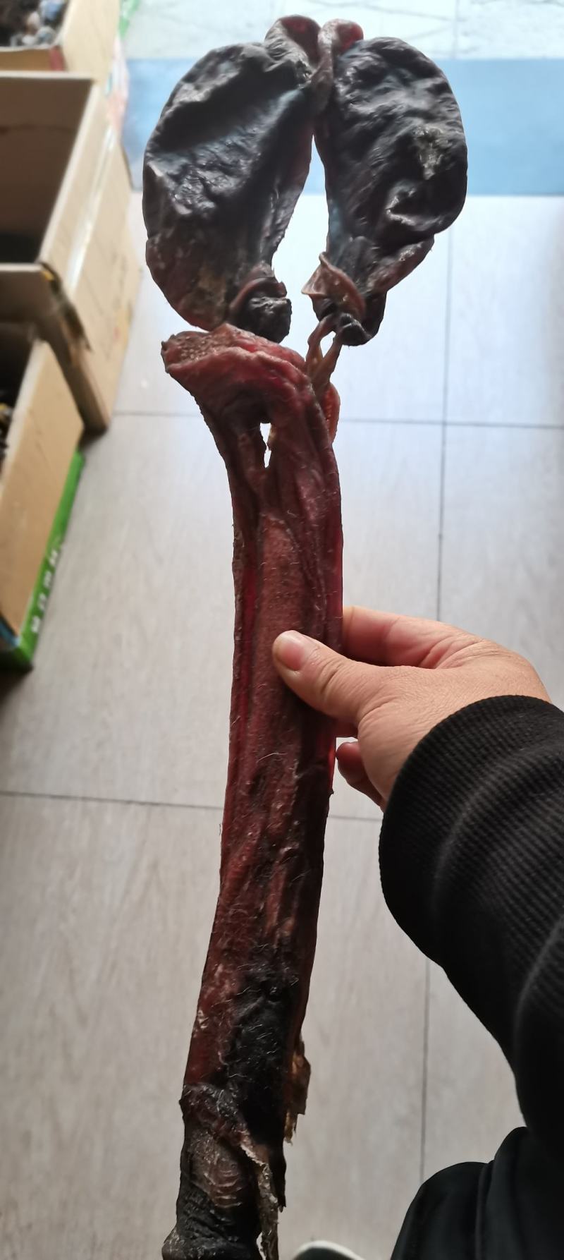 【牛商推荐】驴鞭干驴鞭烘干货驴肾一根起批包邮