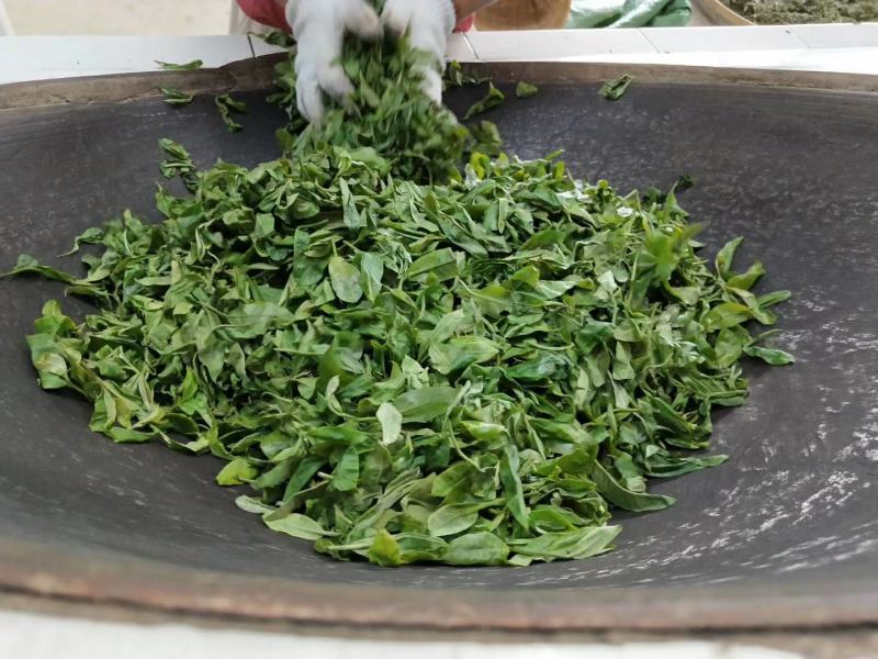 云南普洱茶古树茶单株。纯手工制作润滑口感香甜，耐泡。