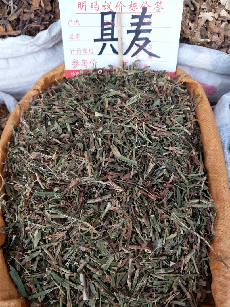 中草药具麦瞿麦草新货