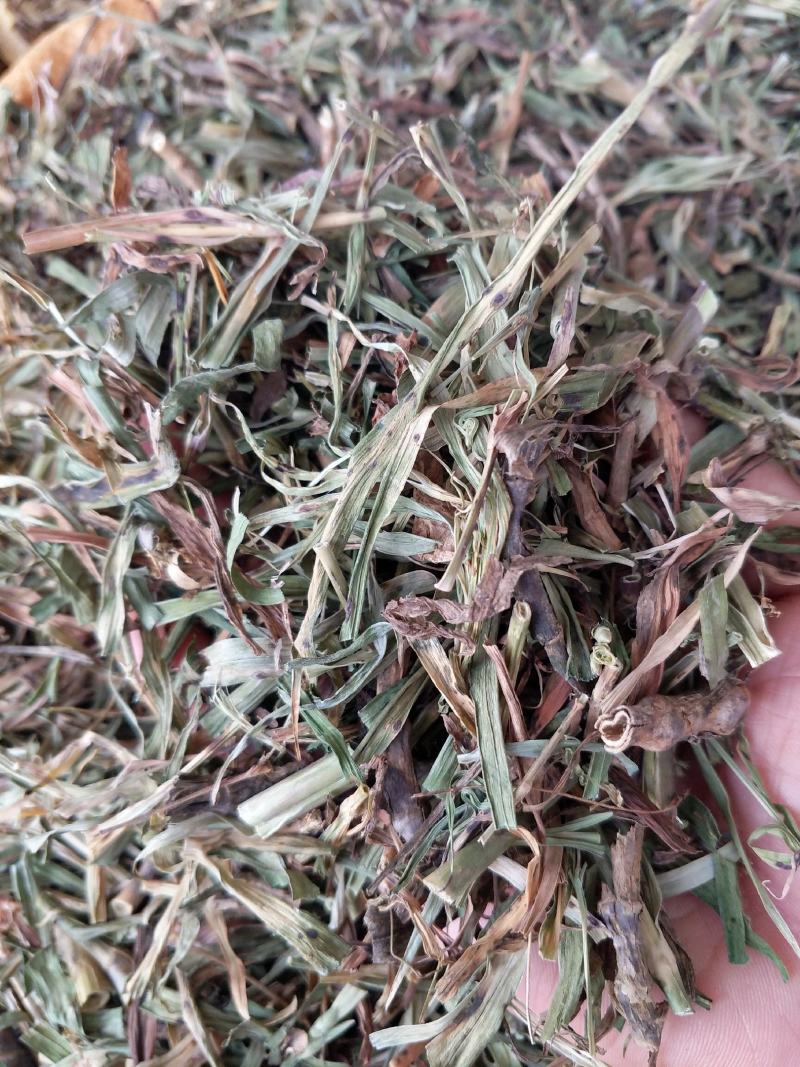 中草药具麦瞿麦草新货