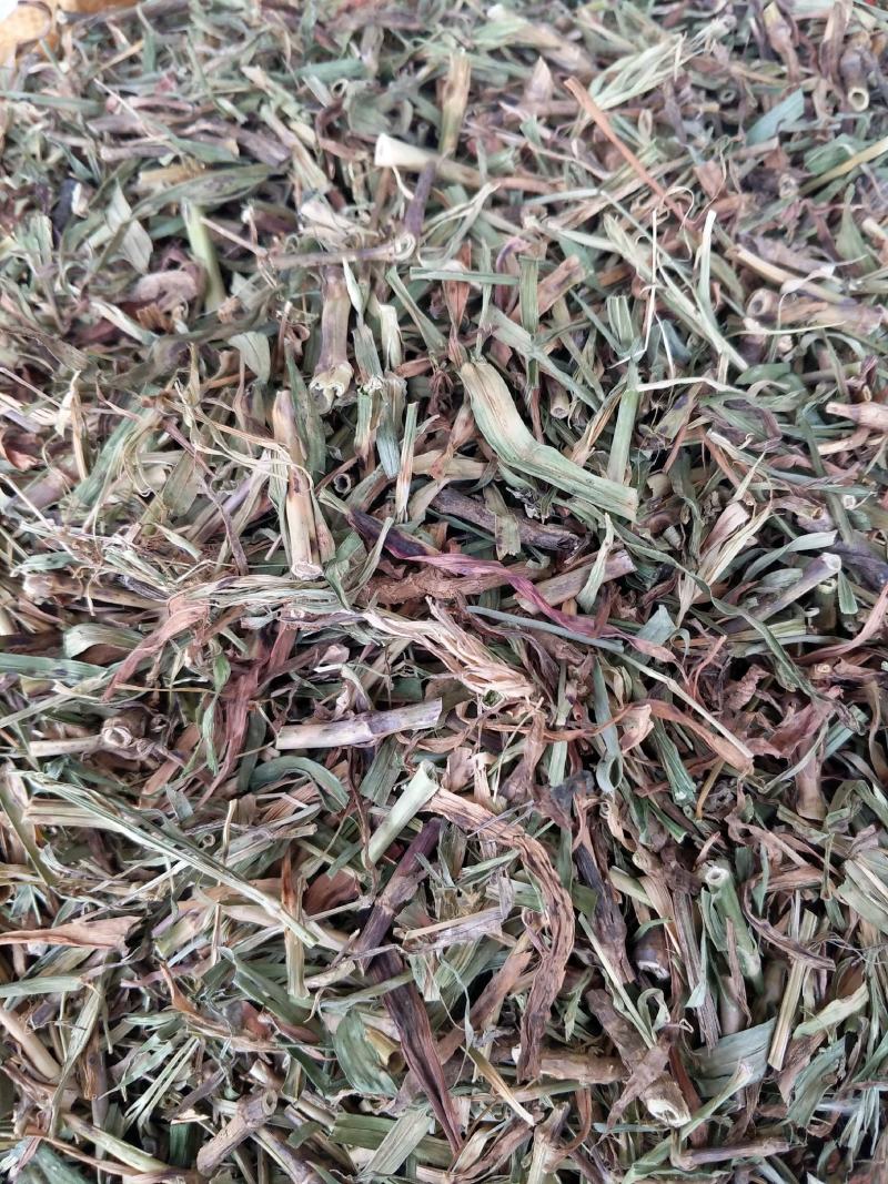 中草药具麦瞿麦草新货