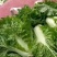 贵州高山麻叶菜帝王菜口感非常棒含水量小找长期合作的老板