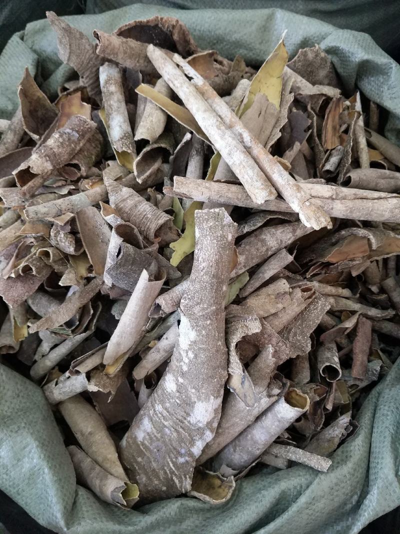 广西榕胆木皮救必应薄皮新货，货源充足全国发货