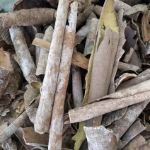 广西榕胆木皮救必应薄皮新货，货源充足全国发货