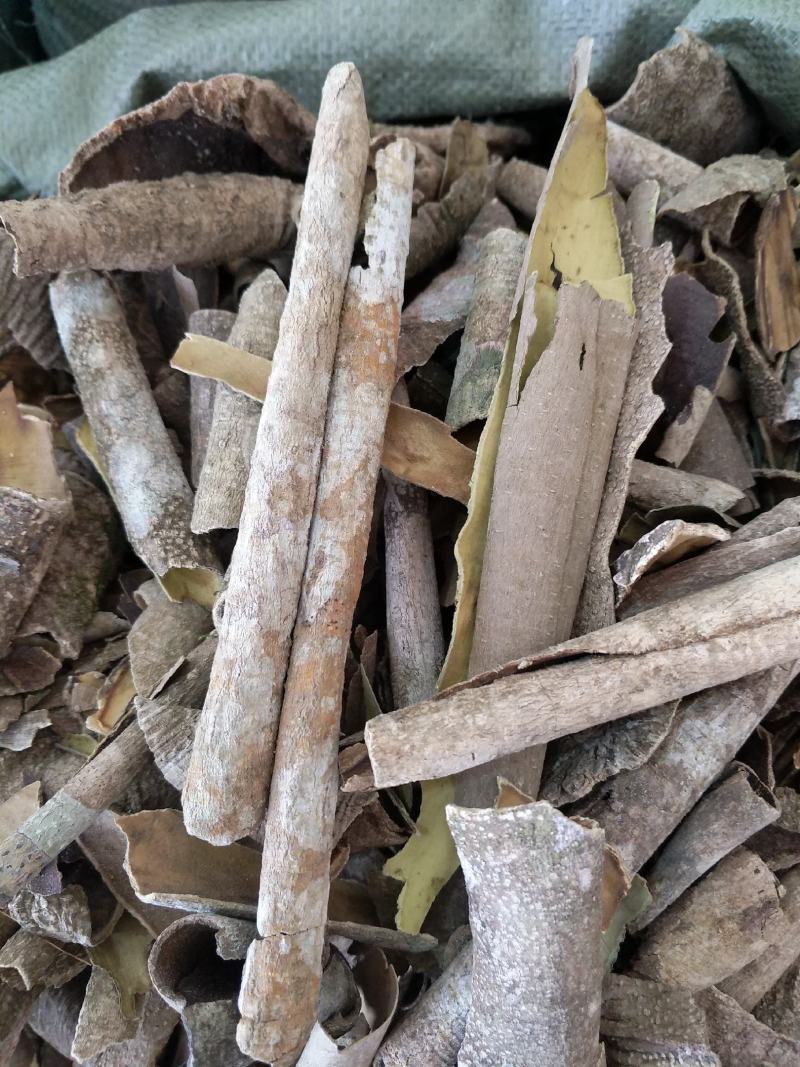广西榕胆木皮救必应薄皮新货，货源充足全国发货