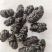 黑桑葚干桑葚果桑椹果干大颗粒