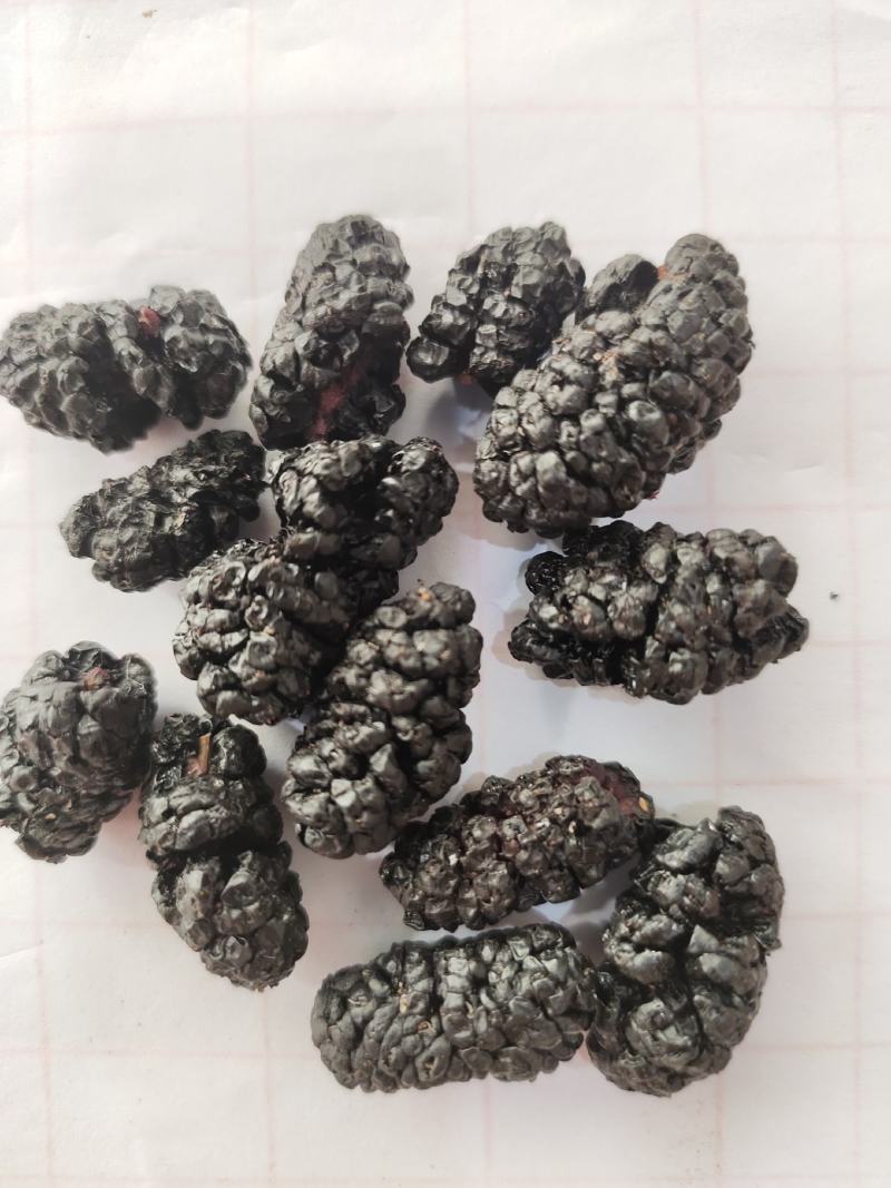 黑桑葚干桑葚果桑椹果干大颗粒