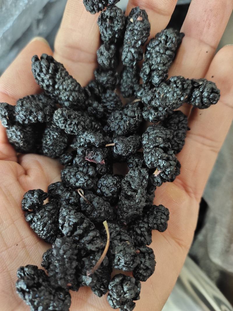 黑桑葚干桑葚果桑椹果干大颗粒