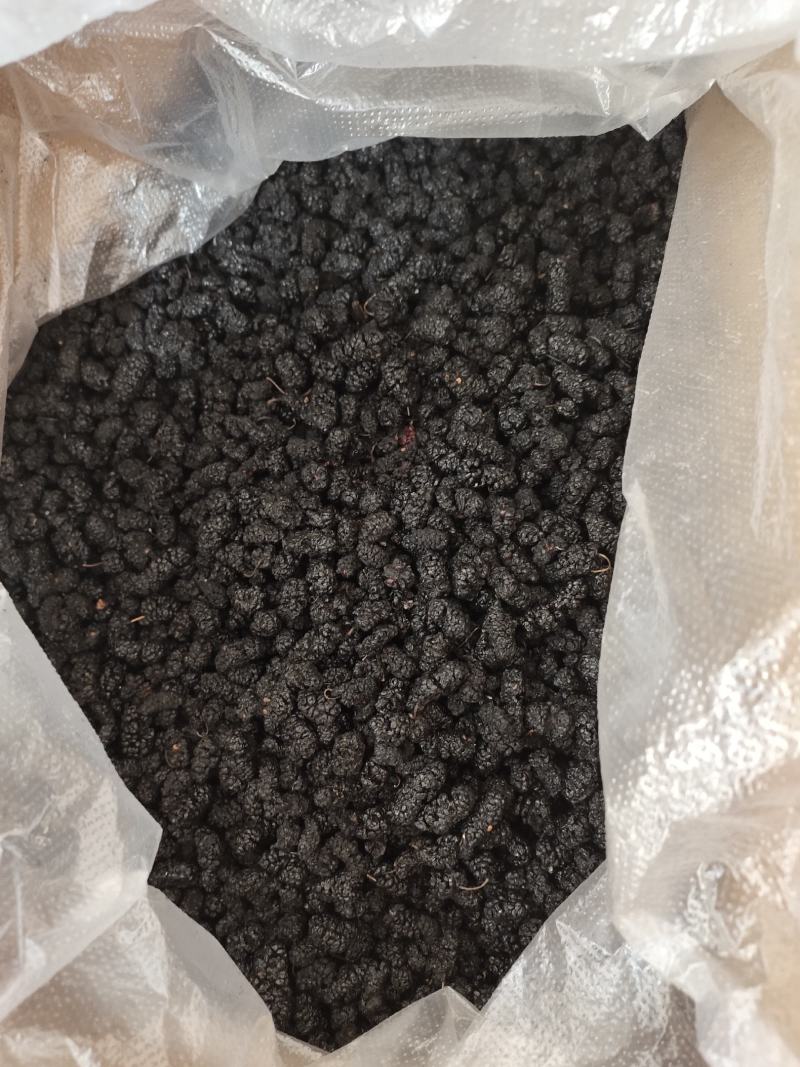 黑桑葚干桑葚果桑椹果干大颗粒