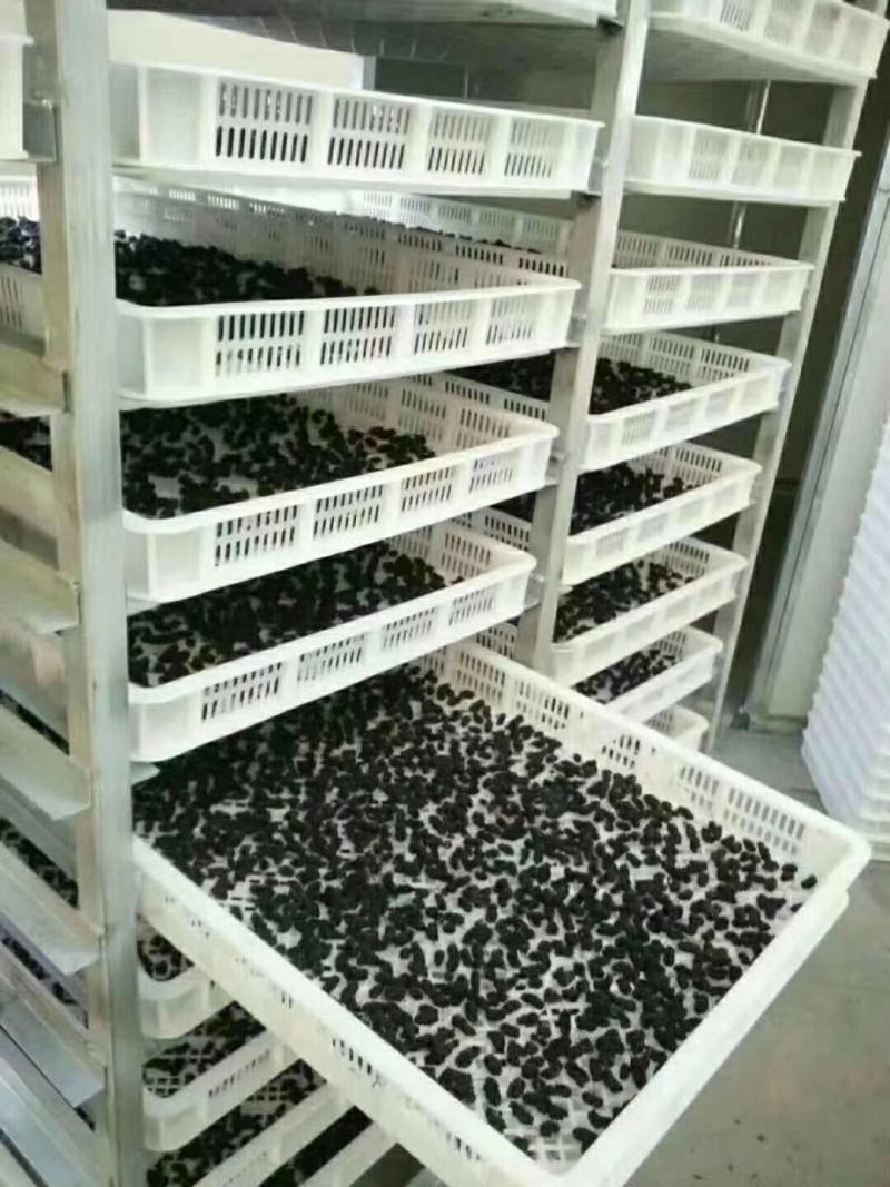 黑桑葚干桑葚果桑椹果干大颗粒