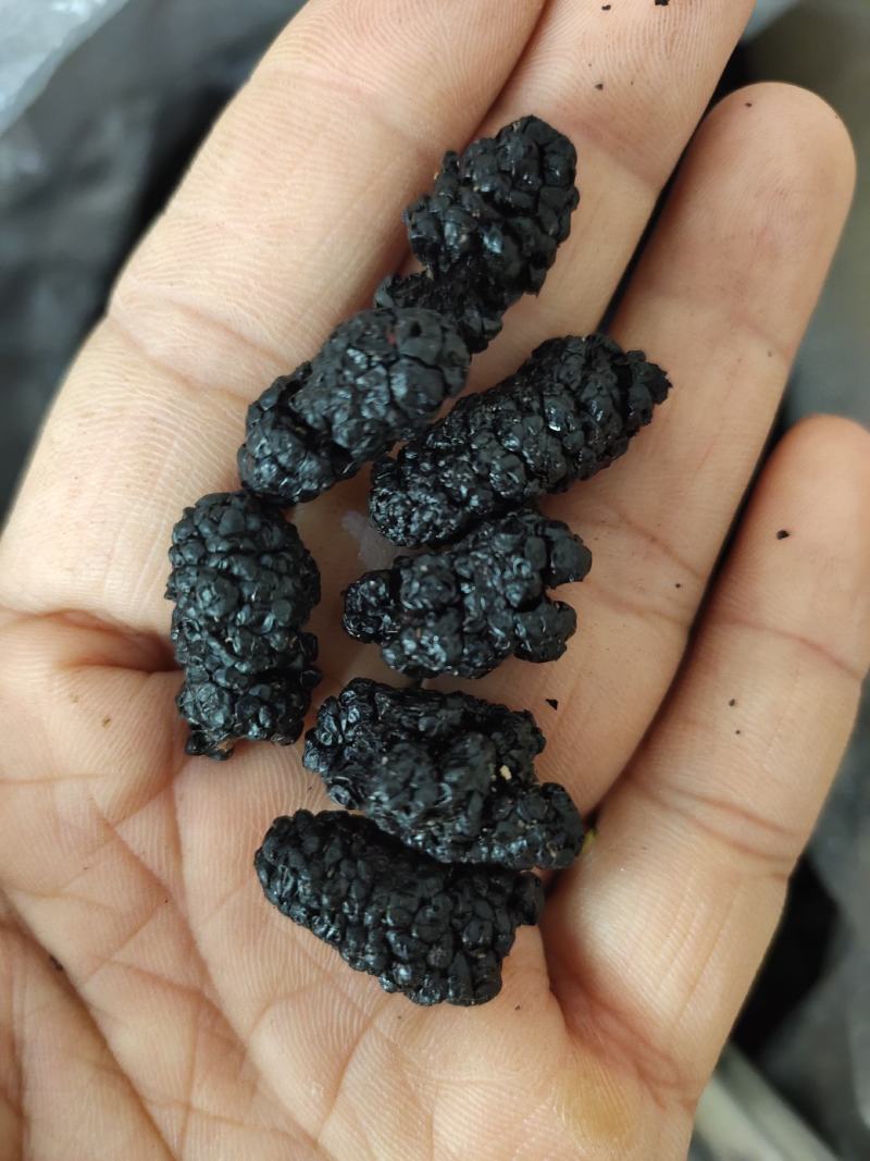 黑桑葚干桑葚果桑椹果干大颗粒