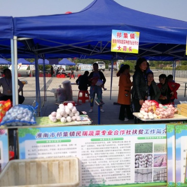 安徽省淮南市潘集区祁集镇曹岗村民瑞蔬菜种植专业合作社