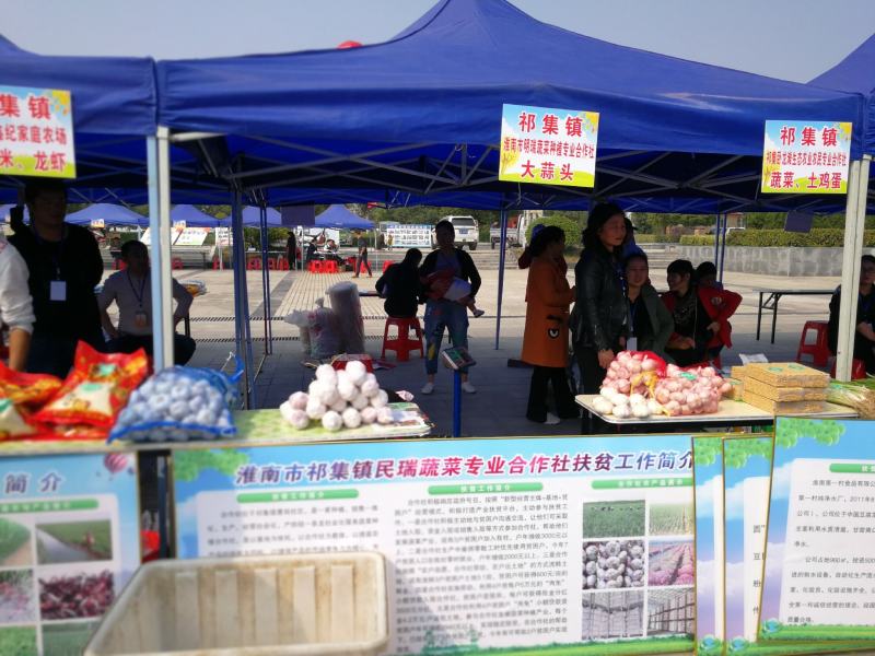 安徽省淮南市潘集区祁集镇曹岗村民瑞蔬菜种植专业合作社