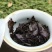 精品熟茶布朗料收藏版