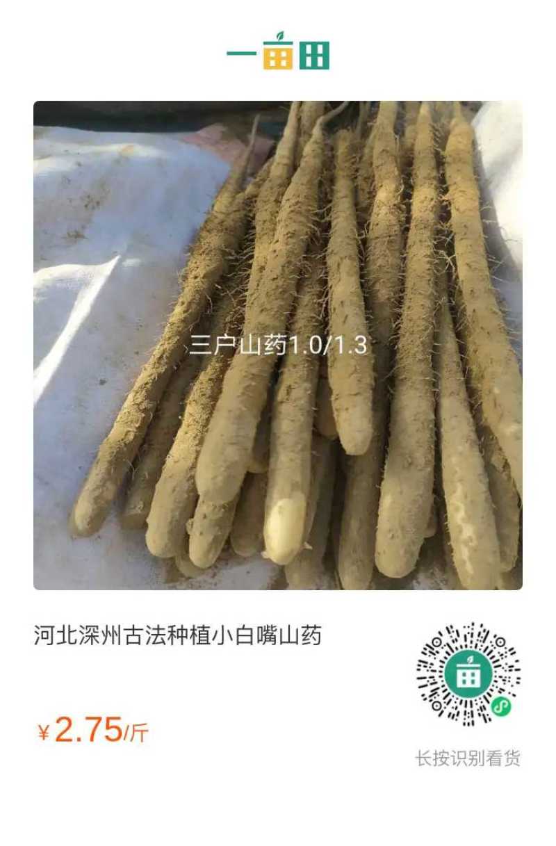 精品河北深州小白嘴山药，营养丰富绿色食品，物养价廉