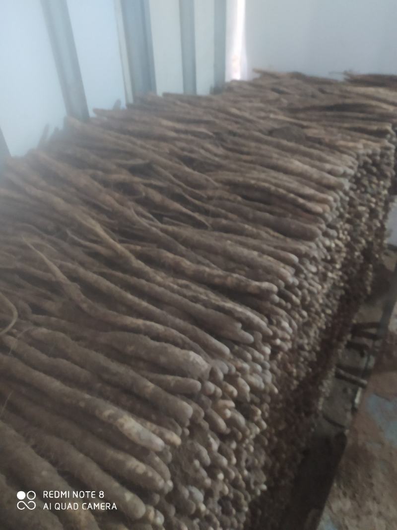精品河北深州小白嘴山药，营养丰富绿色食品，物养价廉