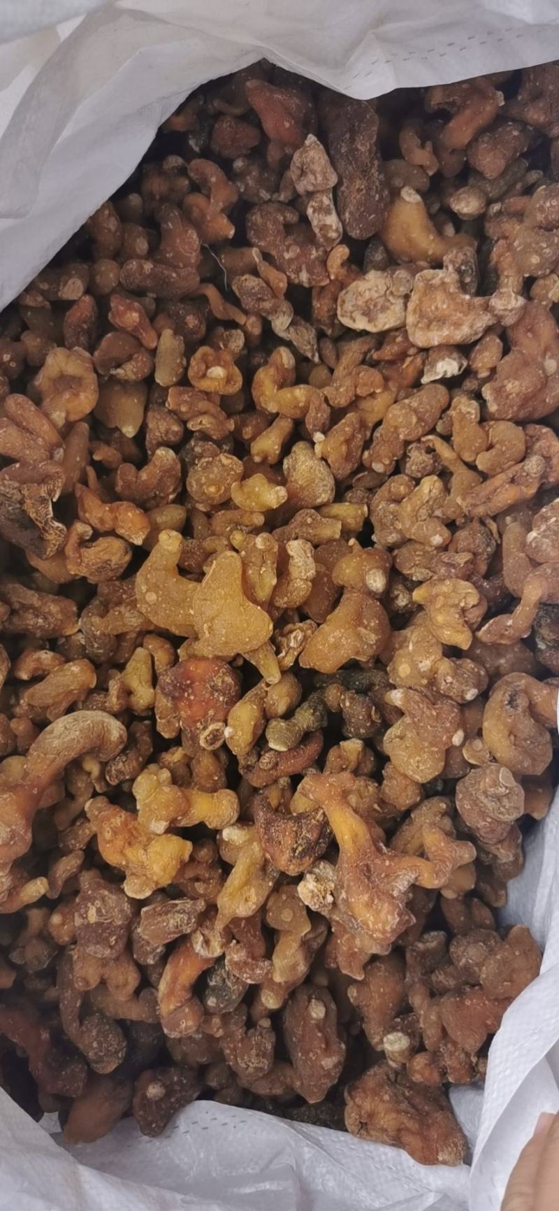 黄精个子滇黄精个子云南产地直销