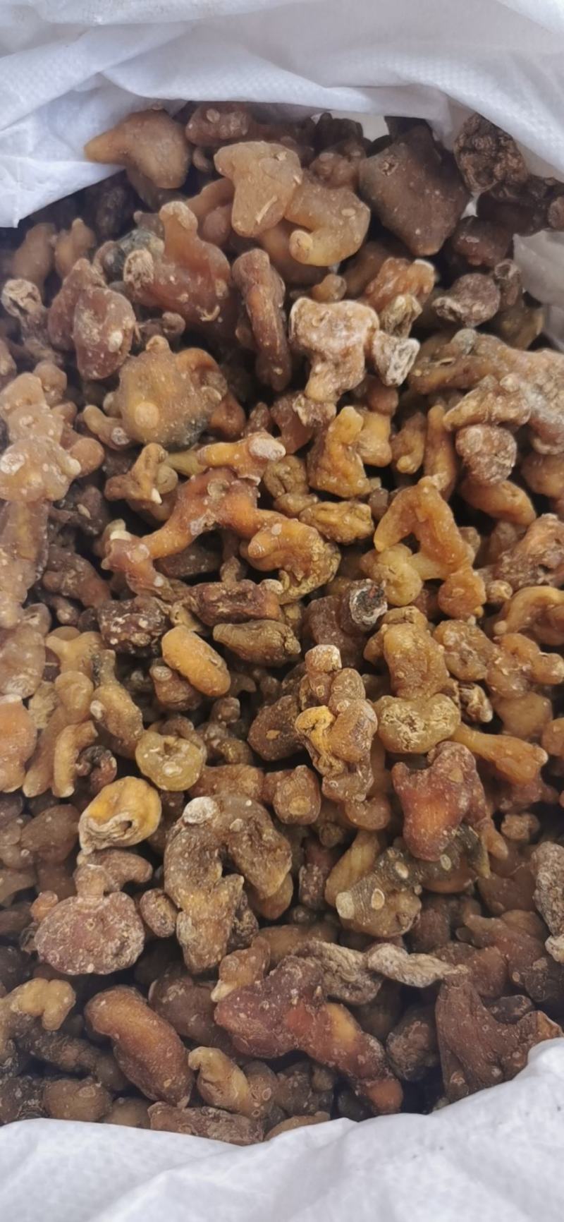 黄精个子滇黄精个子云南产地直销