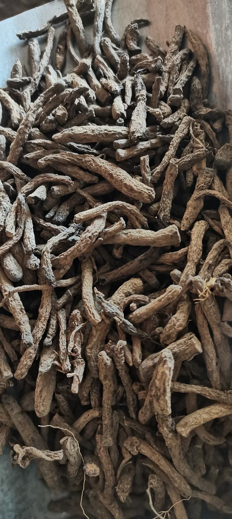 仙茅仙茅根仙茅干货一公斤起批