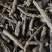 仙茅仙茅根仙茅干货一公斤起批