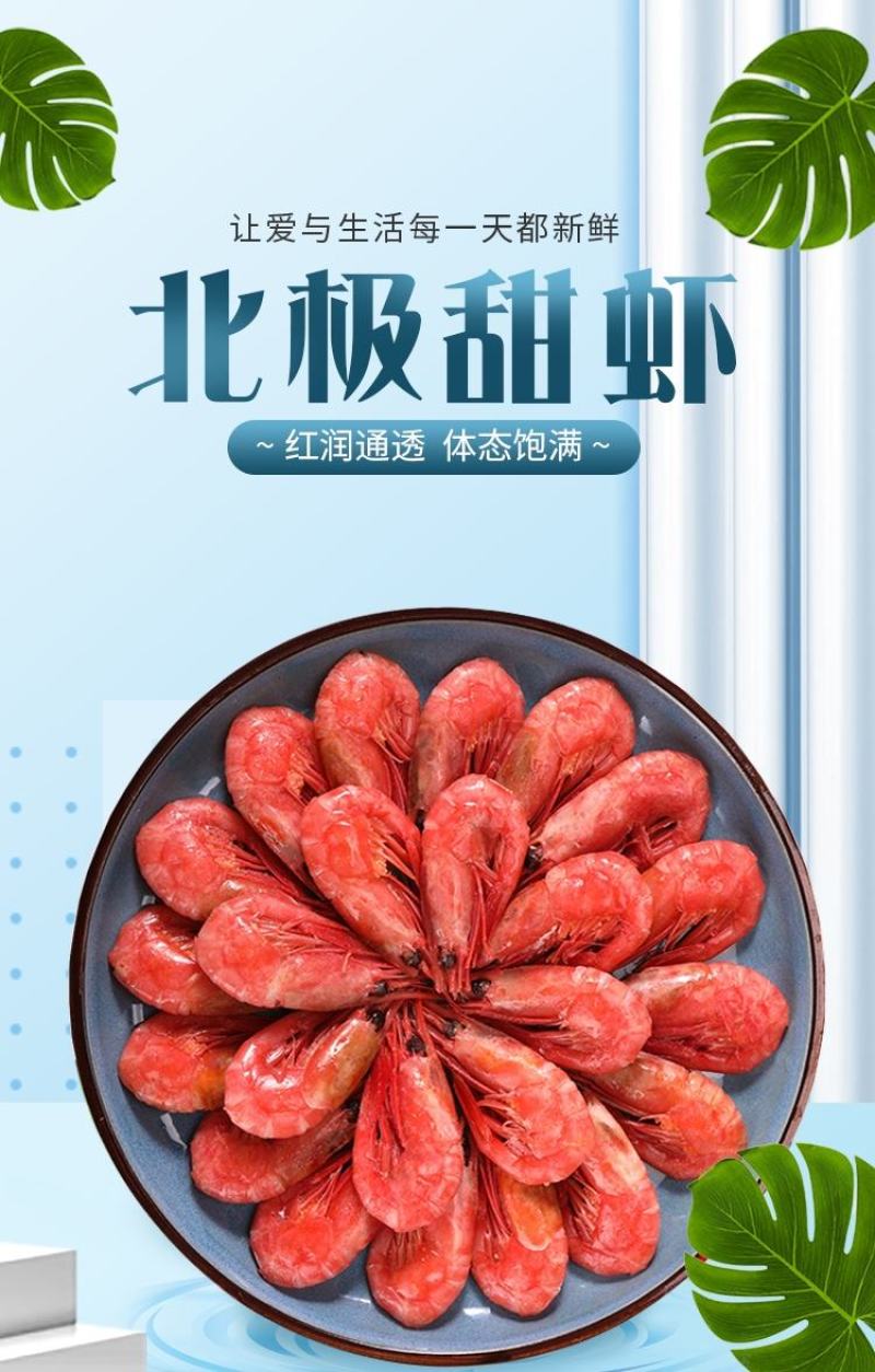 北极虾甜虾冰虾头籽腹籽鲜活海鲜水产大虾熟冻甜虾刺身带籽