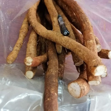 牛大力鲜货，新鲜质优，价格实惠，大量从优