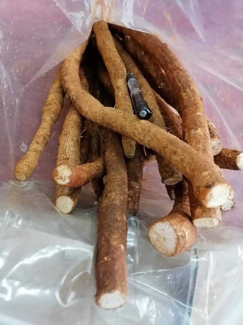 牛大力鲜货，新鲜质优，价格实惠，大量从优