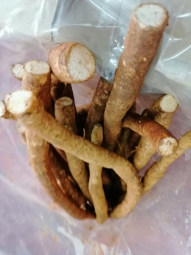 牛大力鲜货，新鲜质优，价格实惠，大量从优