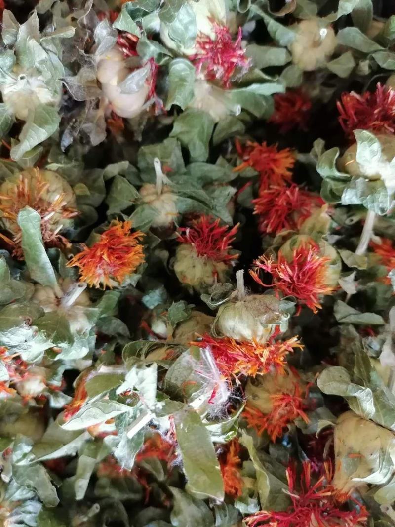 【精品】红花果花多叶绿，大量批发