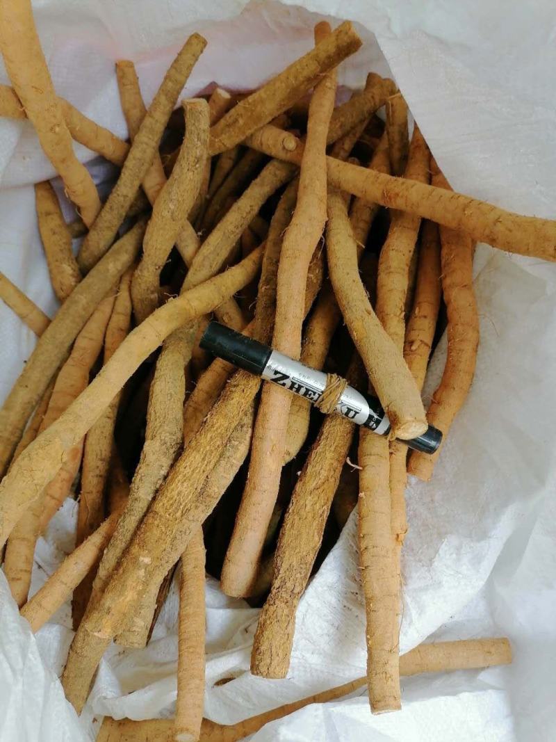 牛大力鲜货，新鲜质优，价格实惠，大量从优