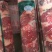 鸭肉卷厂家直销，郑州总代理。。。。。。。