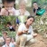 无花果苗,波姬红、芭劳奈无花果苗,标准化种植新技术新模式