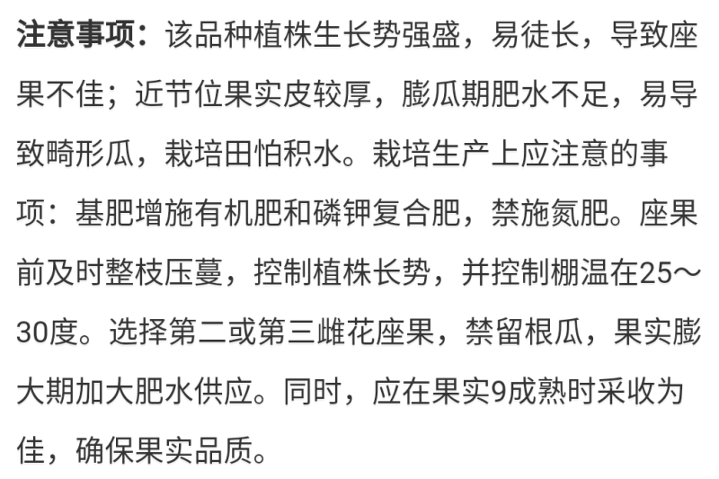 西瓜申选958薄皮松脆美都品质抗重茬和雨水