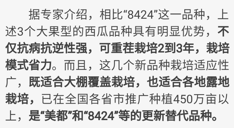 西瓜申选958薄皮松脆美都品质抗重茬和雨水