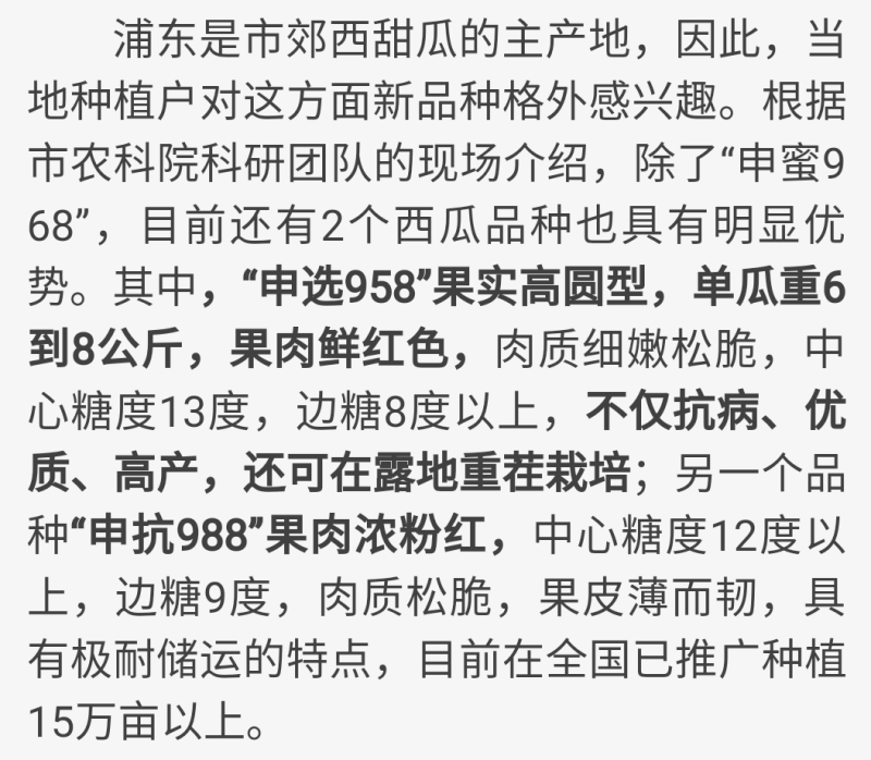 西瓜申选958薄皮松脆美都品质抗重茬和雨水