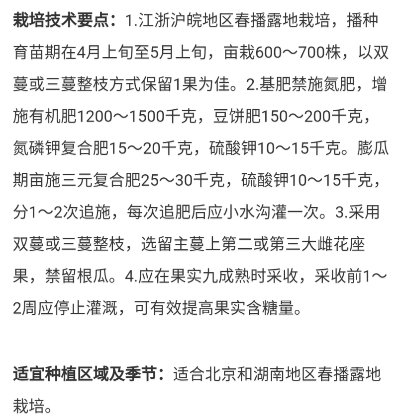 西瓜申选958薄皮松脆美都品质抗重茬和雨水