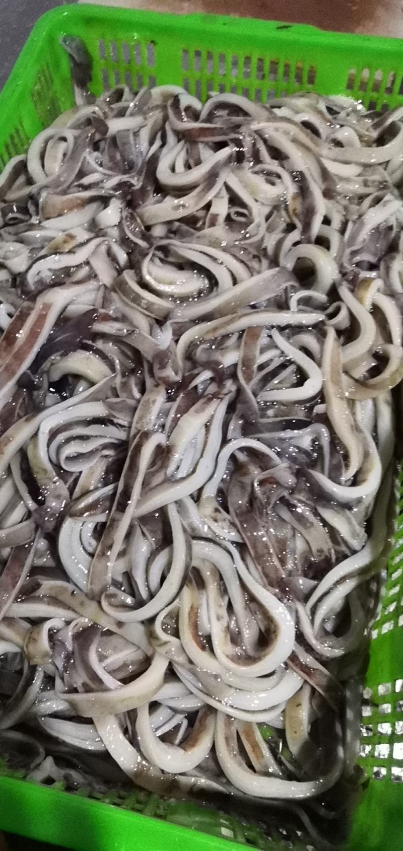 新到鱿鱼条，，，，，，，