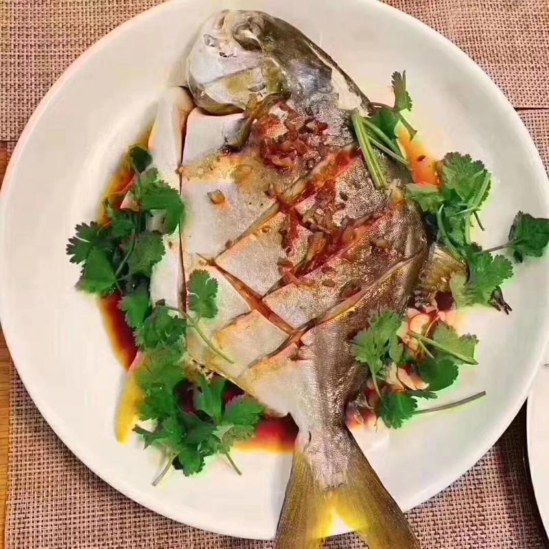 【本港金鲳鱼】海水鱼，口感和肉质非常好