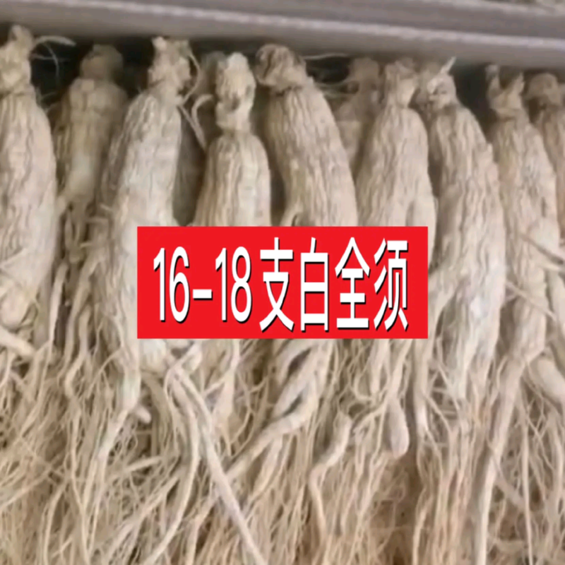 【以人为本，诚信经营】长白山干参白全须【全国包邮】